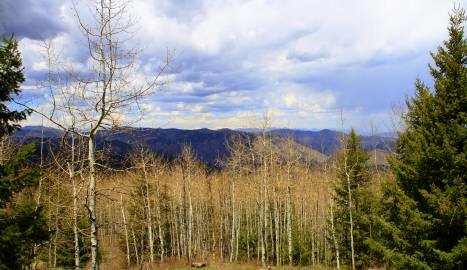 Indian Creek From the Top